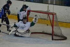 Cobra's goal