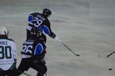 Dickson #29 (3)